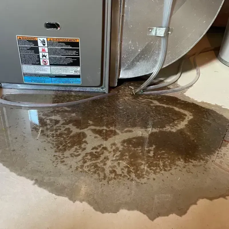 Appliance Leak Cleanup in Glasgow Village, MO